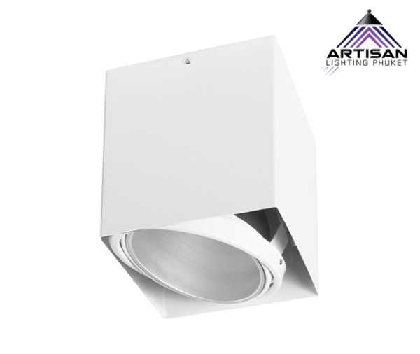 โคมไฟเพดาน ดาวน์ไลท์ติดลอย Surface mounted downlight LED E27 (PAR30) x 1 ทรงสี่เหลี่ยม